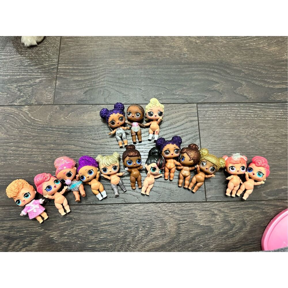 LOL Surprise Kids Toy Lot Several Dolls, Pets, Carrying Case and accessories